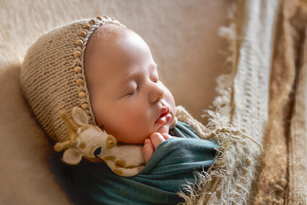 Newborn Photography. Baby with cuddly. 