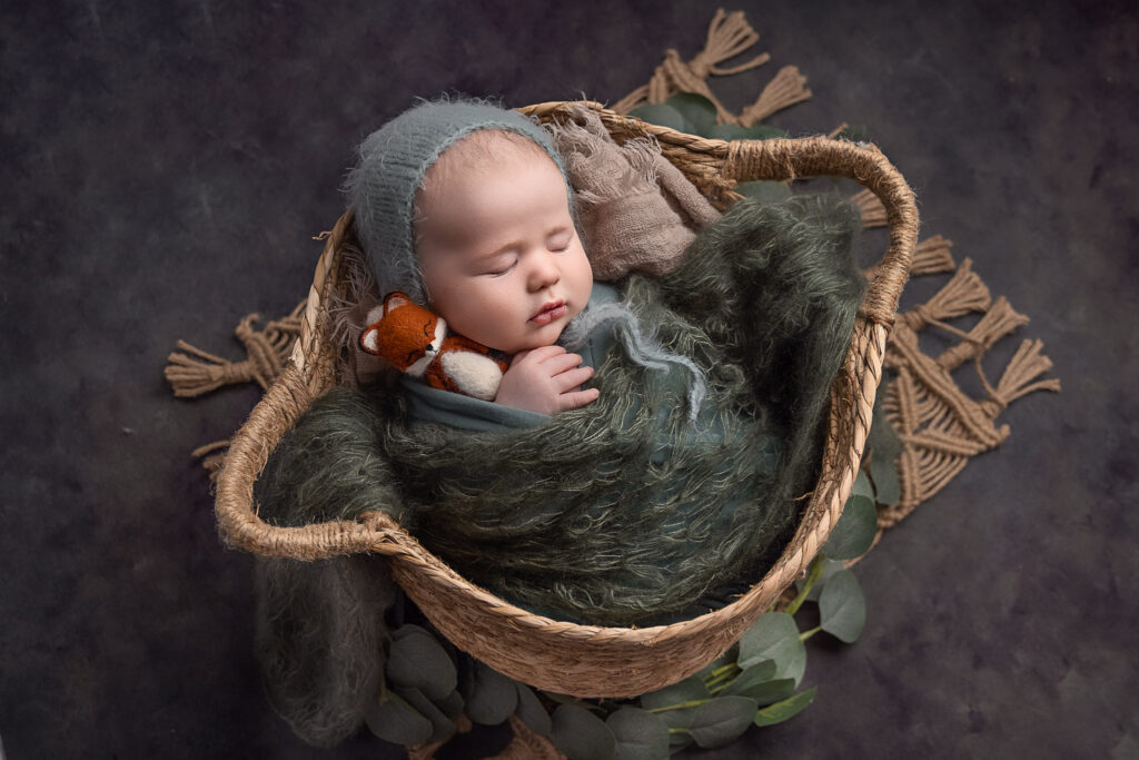 Newborn Photography. Baby in basket